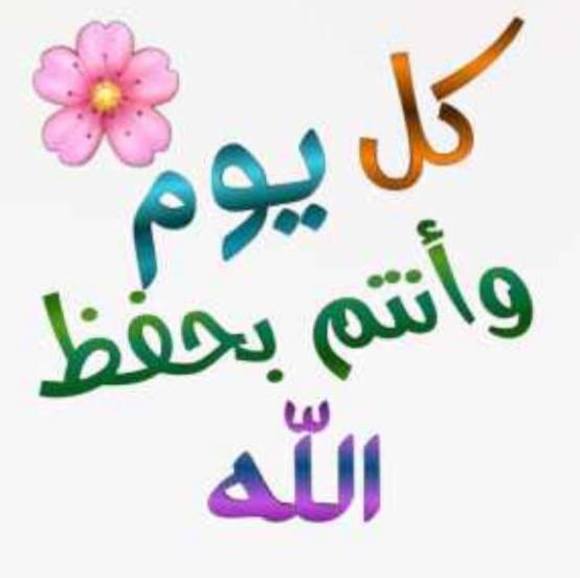 ihab6767